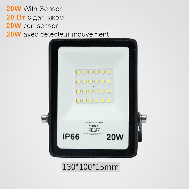 2 pcs 220V 10-100W LED FloodLight Spotlight Exterior Street wall reflector LED Waterproof Buitenlamp Lamp Motion Sensor Detector
