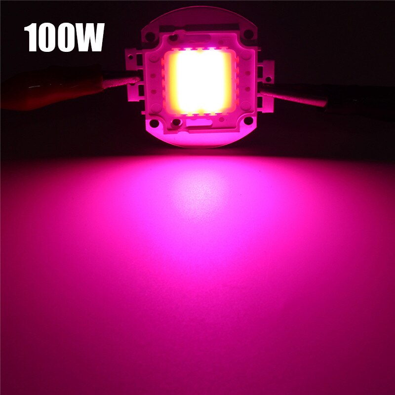 Full Spectrum LED Chip Grow Light 10W 20W 30W 50W 100W High Power 380NM-840NM Growth Lamp Diode for Indoor Plant Seeding