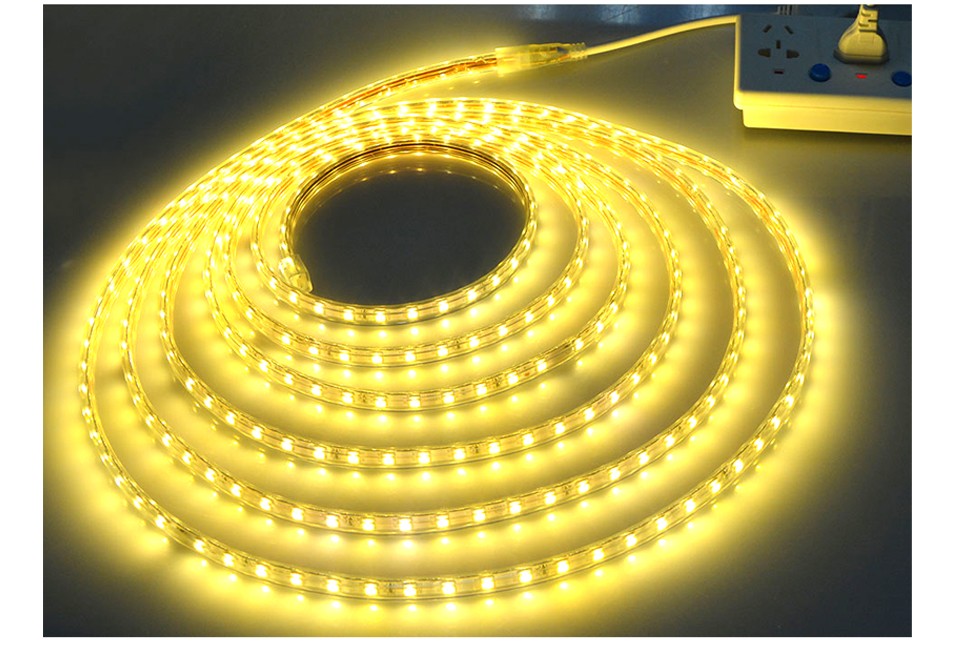 220V SMD 5050 EU Power Plug LED Strip Flexible Light 60leds m Waterproof Led Tape LED Light With 1M 2M 5M 8M 9M 10M 15M 20M 25M