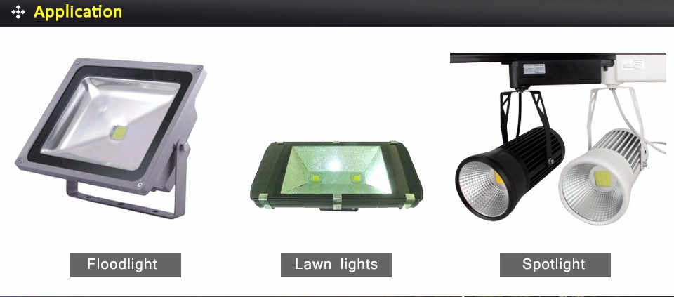 100W 6colors DC 30 36V LED COB Integrated Diodes chip lamp Bulb For Floodlight Street garden Landscape emergency lights