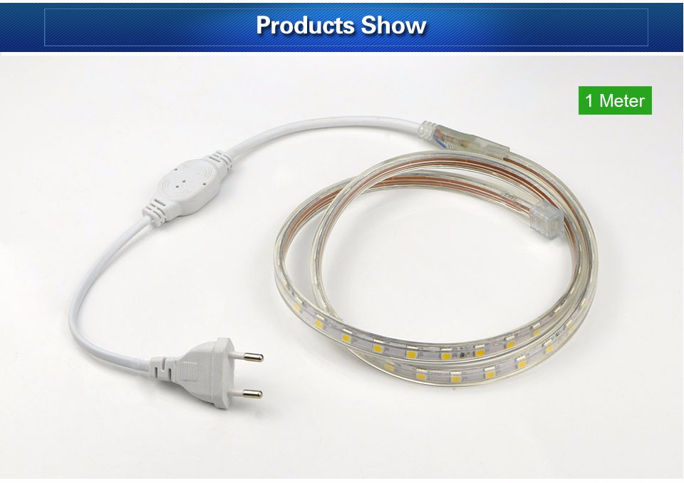 IP67 Waterproof 60led m 220V SMD 5050 Led Strip Light Underwater Light Tape EU Power plug for Swimming Pool Fish Tank Bathroom