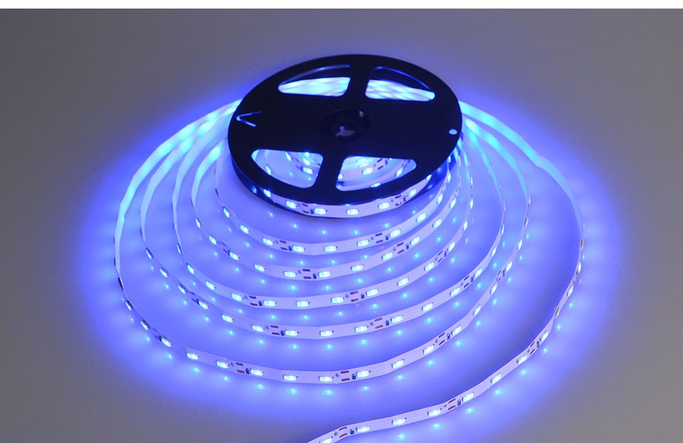 IP65 IP20 No Waterproof 5m DC 12V RGB LED Strip Light 2835 5630 5050 SMD LED ribbon string tape for indoor outdoor lighting