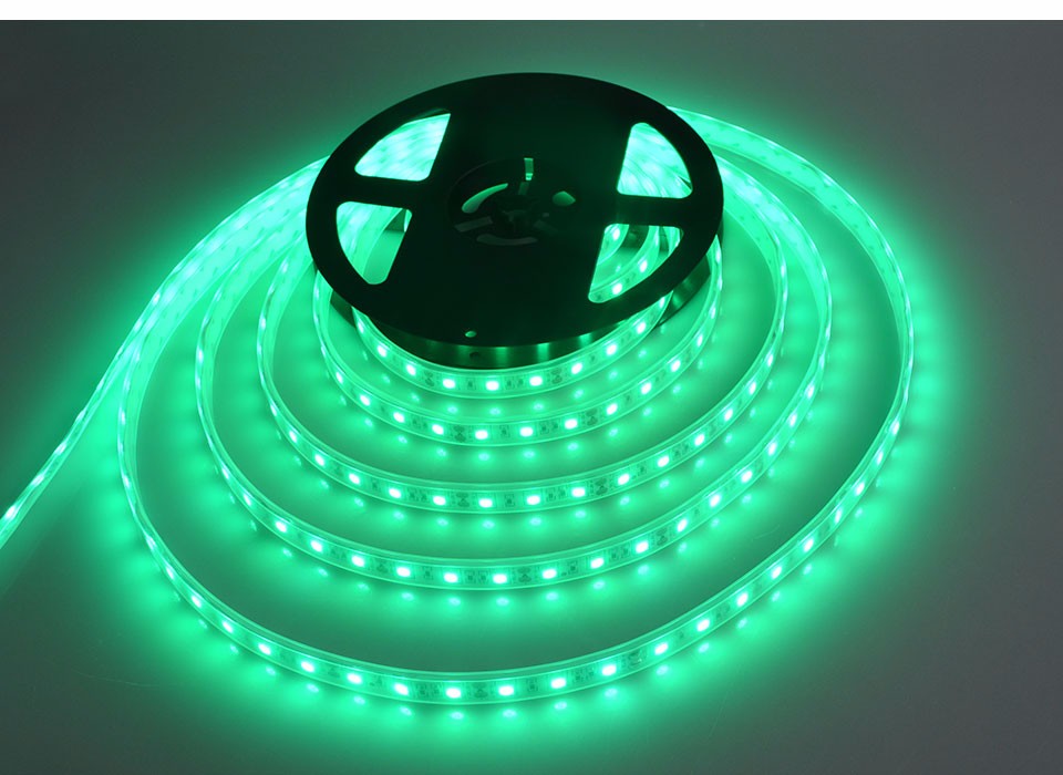 5m SMD 5050 IP67 Tube Waterproof 300LEDs DC12V LED strip lights LED Flexible lamp Swimming Pool Bathroom underwater lights