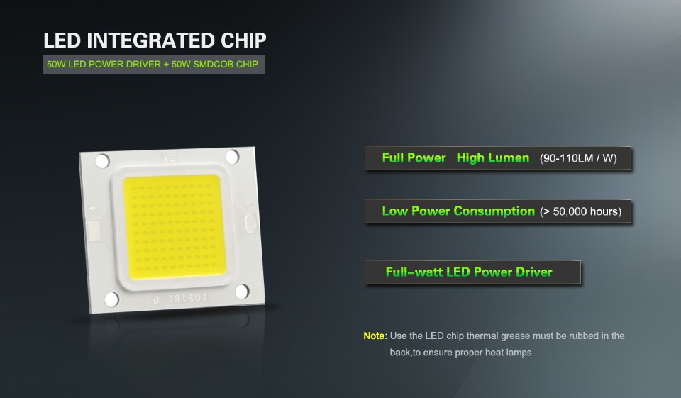1Pcs 30 32V COB High Power 20W 30W 50W 70W 100W LED Integrated Flip Chip lamp For outdoor Flood light Spotlight Bulb