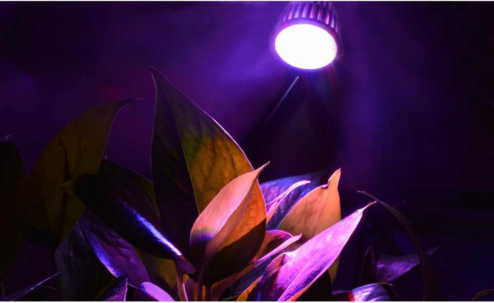 4pcs lot 85 265V 110V 220V LED Bulb Full Spectrum LED Plant Grow light E27 Growing lamp for Flower Hydroponics Outdoor Lighting