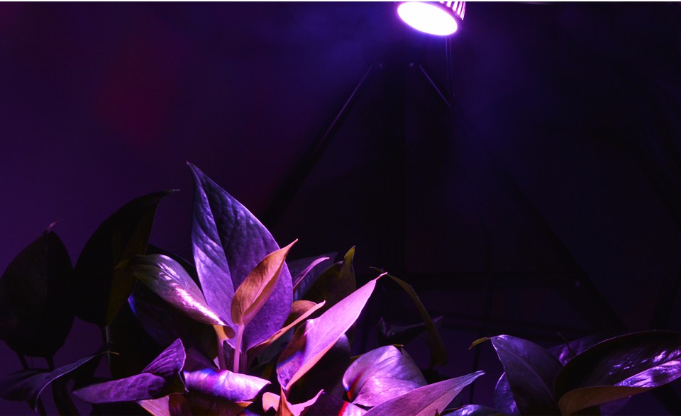 Led Plant Grow Lamps E27 85 265V 110V 220V LED Bulb Full Spectrum light spotlight for Hydroponics Flower Plants Grow lamp