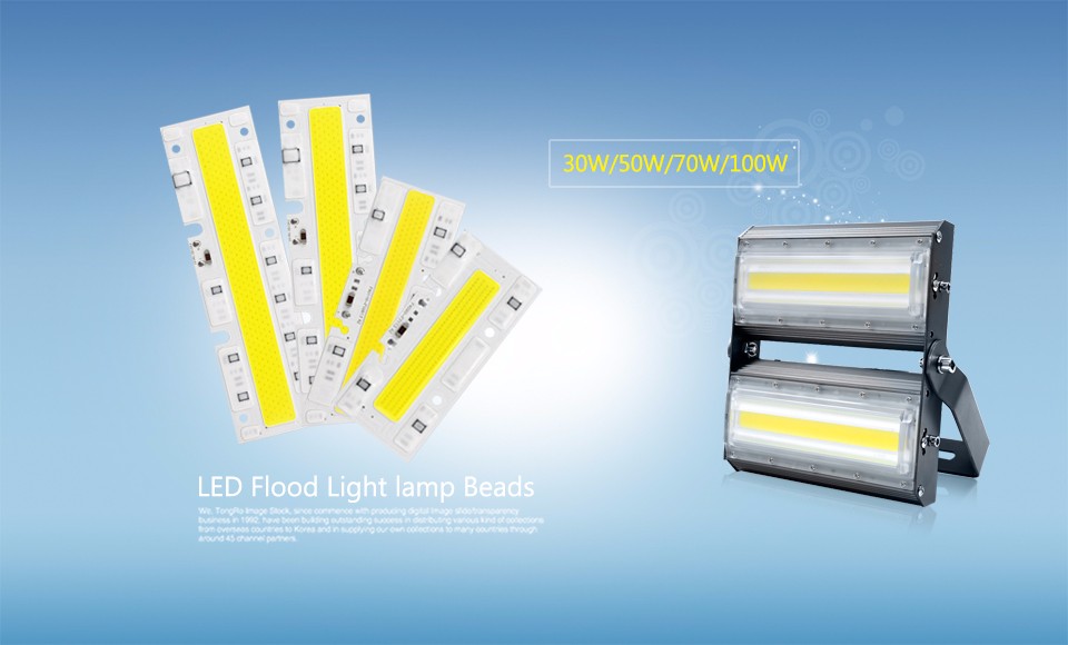 IP65 COB LED Chips 30W 50W 70W 100W AC 220V LED COB Bulb Lamp Light Smart IC For DIY High Power Flood light Spot Bulb