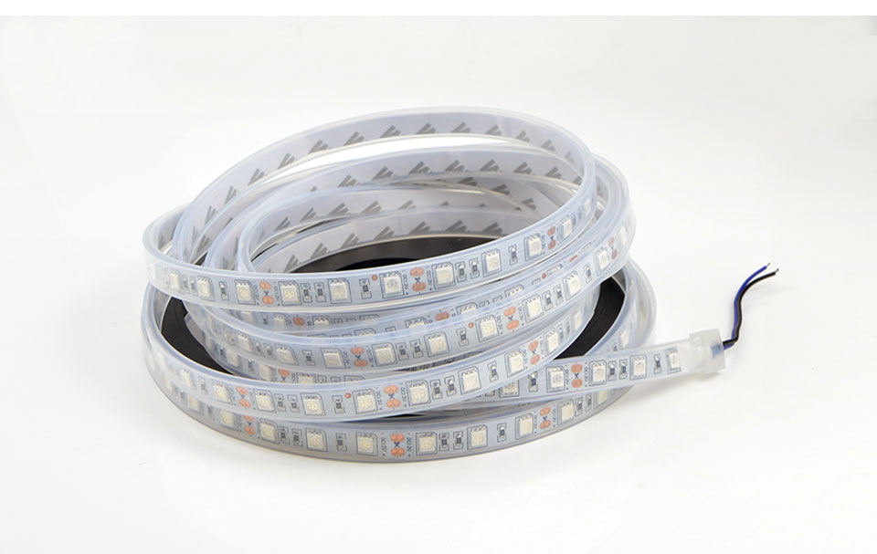 DC 12V 5m LED light RGB Ribbon led strip light 5050 SMD IP20 IP65 IP67 Waterproof LED Holiday Garden Decoration lamp lighting