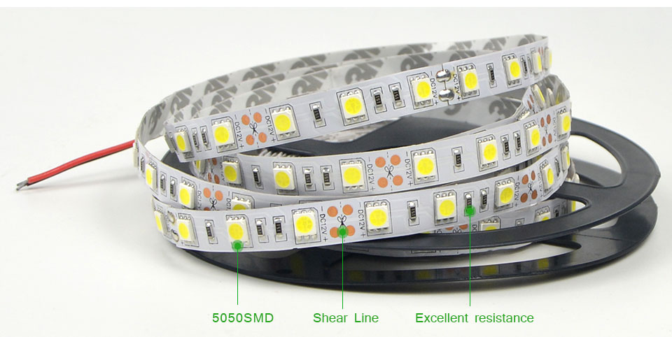 DC 12V 5m LED light RGB Ribbon led strip light 5050 SMD IP20 IP65 IP67 Waterproof LED Holiday Garden Decoration lamp lighting