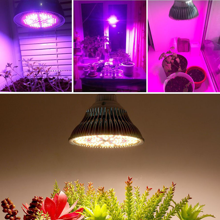 300W LED Full Spectrum Plant Grow Light 200LED Sunshine Par38 E27 Bulbs Growth Lamp for Plant Flower Growing Seeding Lamp