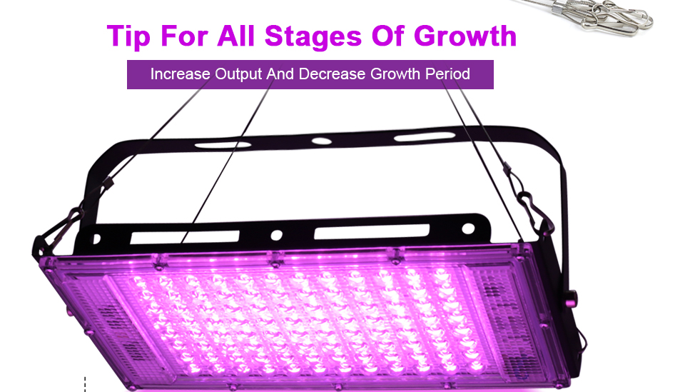 50W 100W 220V outdoor Led Floodlight Full Spectrum LED plant growth lamp Led Spotlight Projector Streetlight Led Grow light