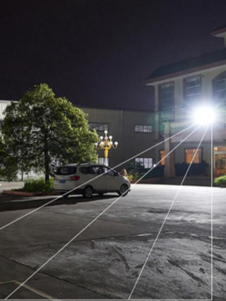 50W LED COB LED High Power Projection Lamp Outdoor Lighting Advertising lamp Inductive Floodlight