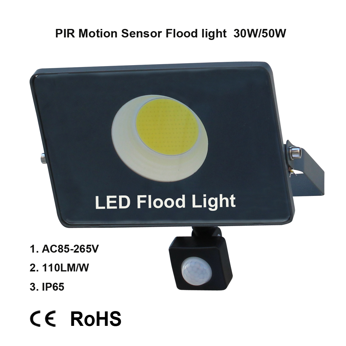 LED induction lamp 30W 50W 100W Flood light PIR motion sensor indoor and outdoor lighting decorative lighting home street garden