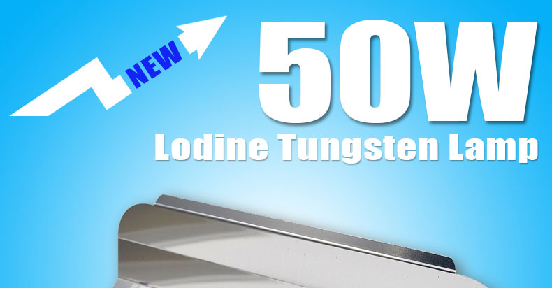 Led Flood Light 100W 50W 30W Floodlight 220V LED Spotlight Refletor Construction Outdoor Lighting 230V