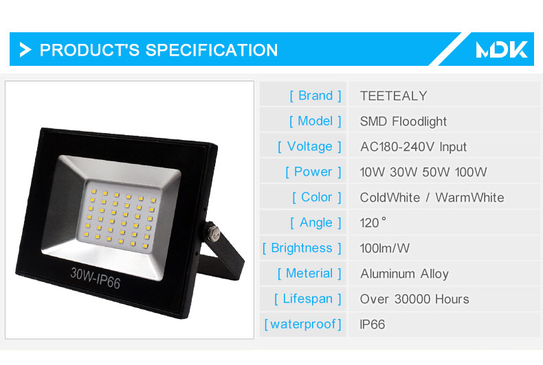 100W 50W 30W 10W power LED Flood Light Floodlight LED street Lamp 220V 230V waterproof Landscape Lighting IP66 led spotlight