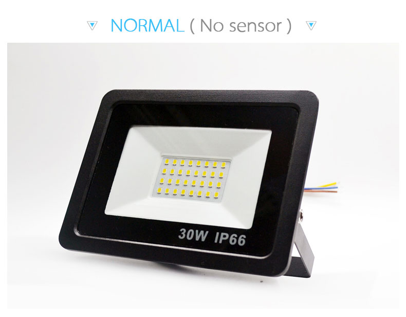 10W 20W 30W 50W 100W Led Flood Light With Adjustable PIR Sensor SMD 2835 Floodlights Outdoor Lighting For Street Square