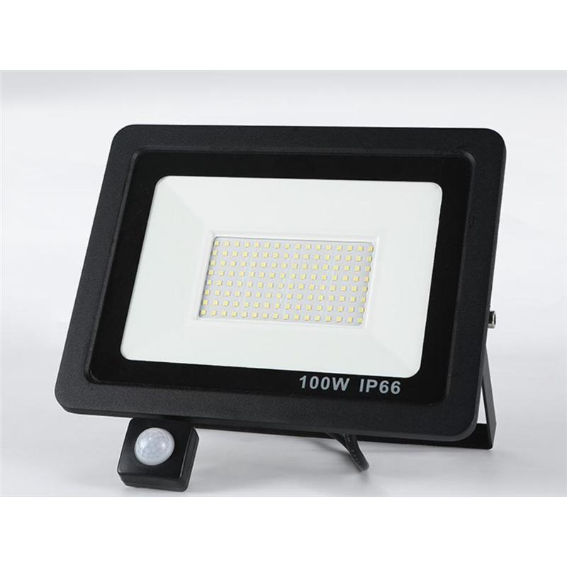 LED Flood light 10W 20W 30W 50W 100W IP66 waterproof Landscape outdoor housing garden Lighting Reflector project floodlight