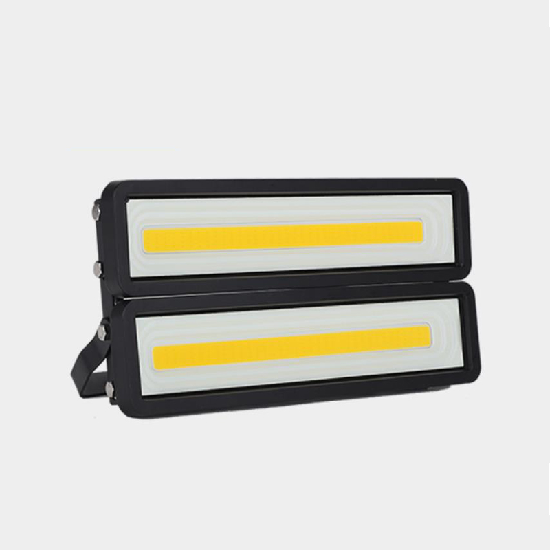 LED Flood Light Outdoor Lamp Spotlight Reflector Floodlight 100W Waterproof Garden 220V Lighting