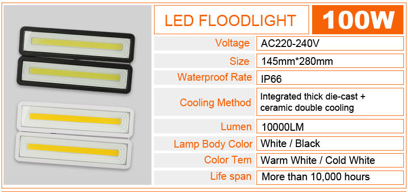 LED Flood Light Outdoor Lamp Spotlight Reflector Floodlight 100W Waterproof Garden 220V Lighting