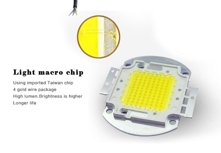 High Power LED Matrix For Projectors 15W 25W 35W 50W DIY Flood Light COB Smart IC Driver LED Diode Spotlight Outdoor Chip Lamp