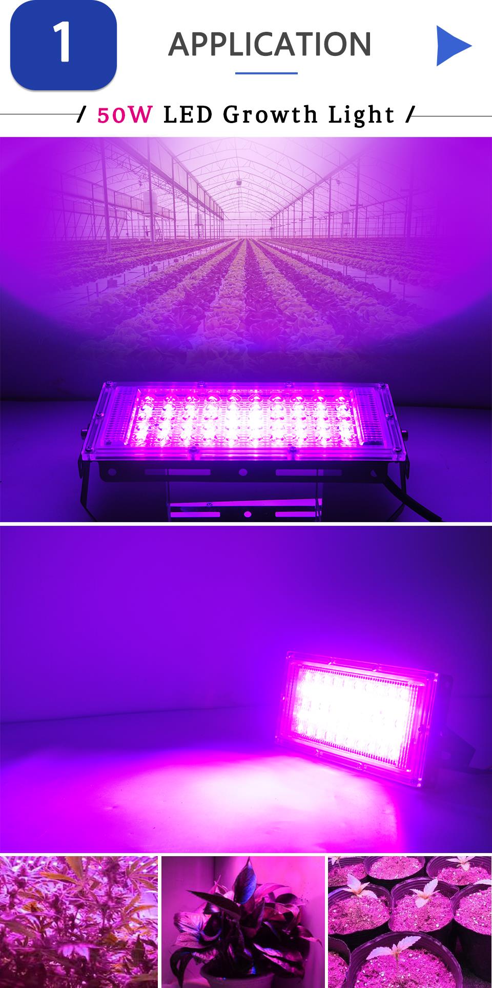 LED Flood Light Plant Growth Flower 50W LED Plant led lamp AC 220V Plant Spotlight Green house Plant Hydroponics Growth Light