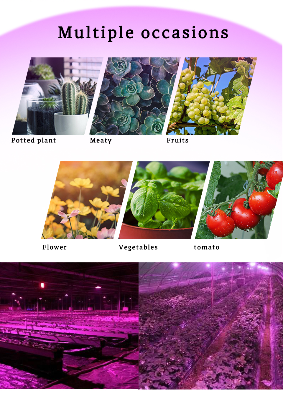 LED Flood Light Plant Growth Flower 50W LED Plant led lamp AC 220V Plant Spotlight Green house Plant Hydroponics Growth Light