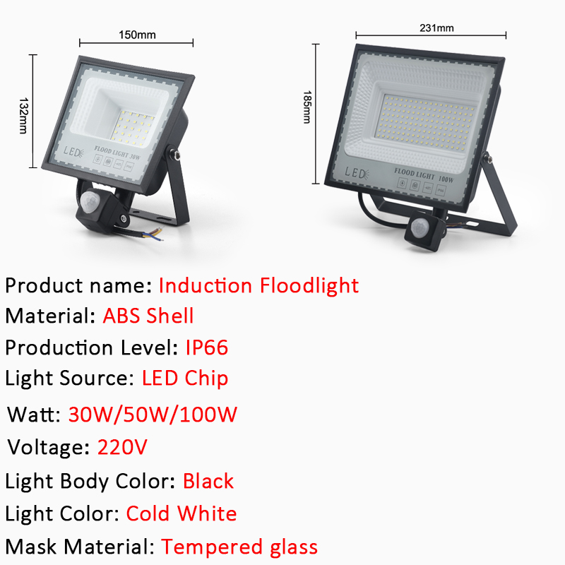 LED Induction Floodlights PIR Motion Sensor 30W 50W 100W 220V Cold White Waterproof IP66 Outdoor Rainproof Lighting