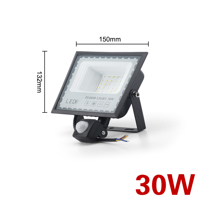 LED Induction Floodlights PIR Motion Sensor 30W 50W 100W 220V Cold White Waterproof IP66 Outdoor Rainproof Lighting