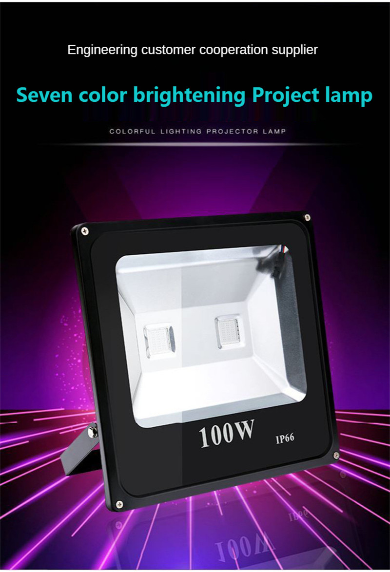 Garden Spotlight RGB Colorful Floodlight Tree Light Courtyard Lighting Landscape Lighting Street Lamp Remote Control 100W 150W