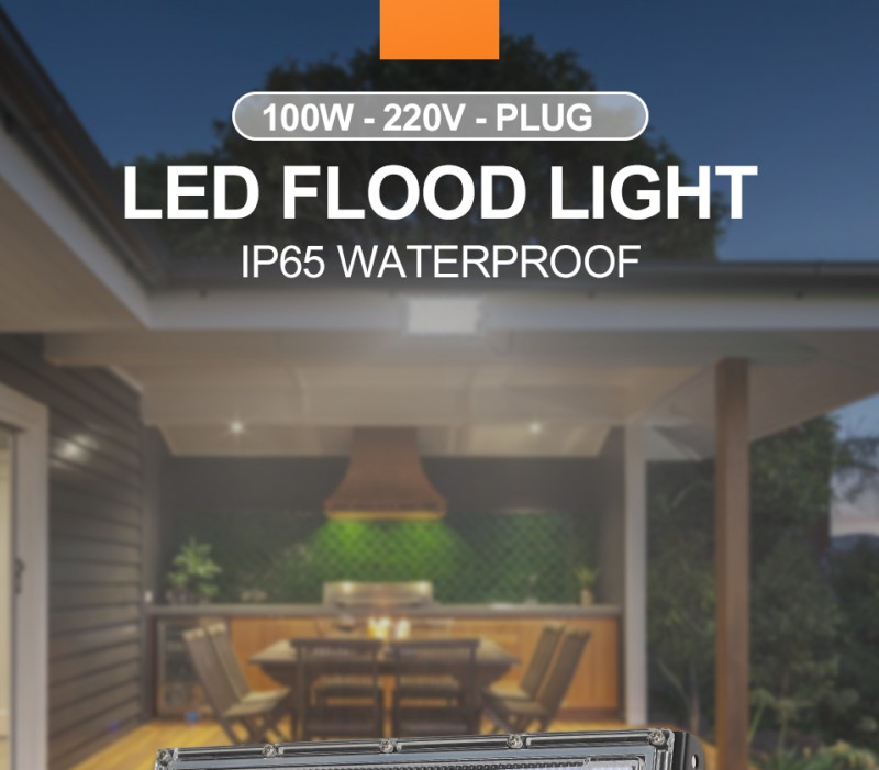 1pc With Plug Led Flood Light 100W Spotlight Outdoor Lighting Led Street Lamp Wall Garden Lamp AC220V Waterproof IP65 Floodlight