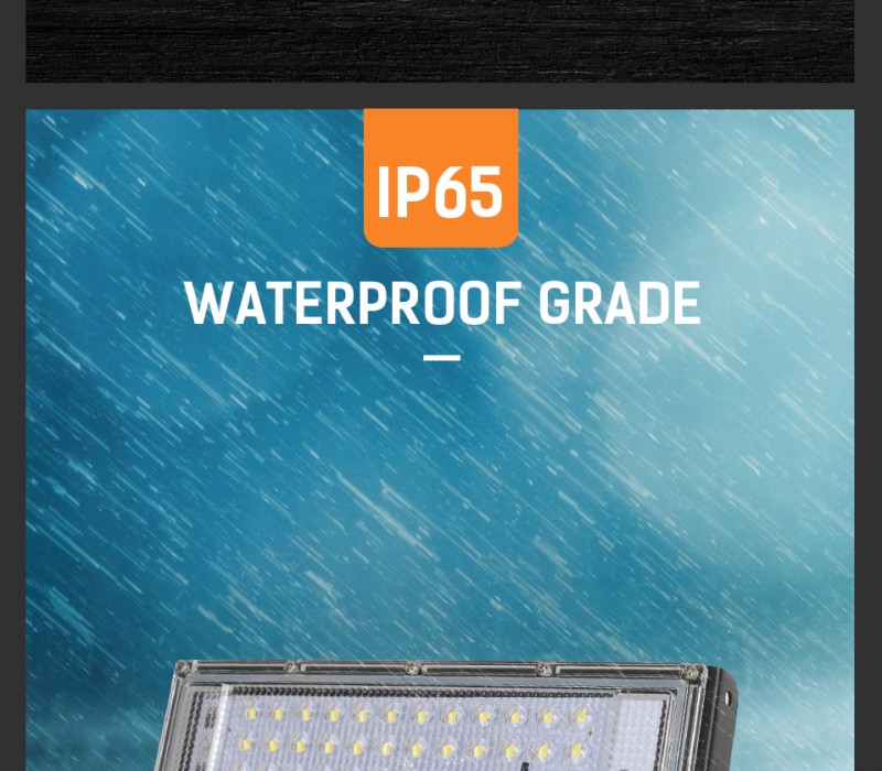 1pc With Plug Led Flood Light 100W Spotlight Outdoor Lighting Led Street Lamp Wall Garden Lamp AC220V Waterproof IP65 Floodlight