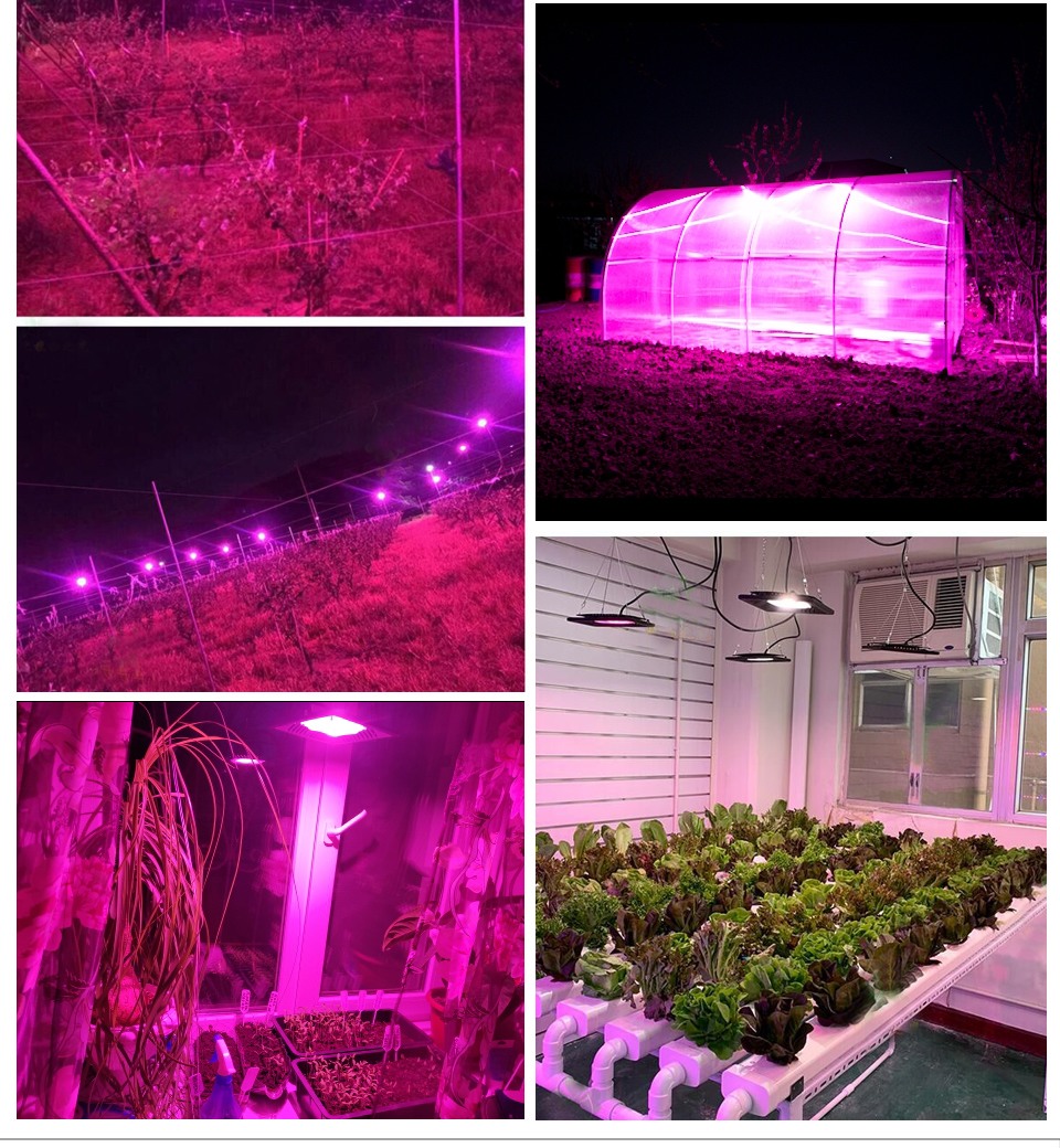 Full Spectrum Lamp LED Growing Light 50W 100W 150W AC 110V 220V High Power Outdoor Waterproof for Greenhouse Hydroponics Seeding