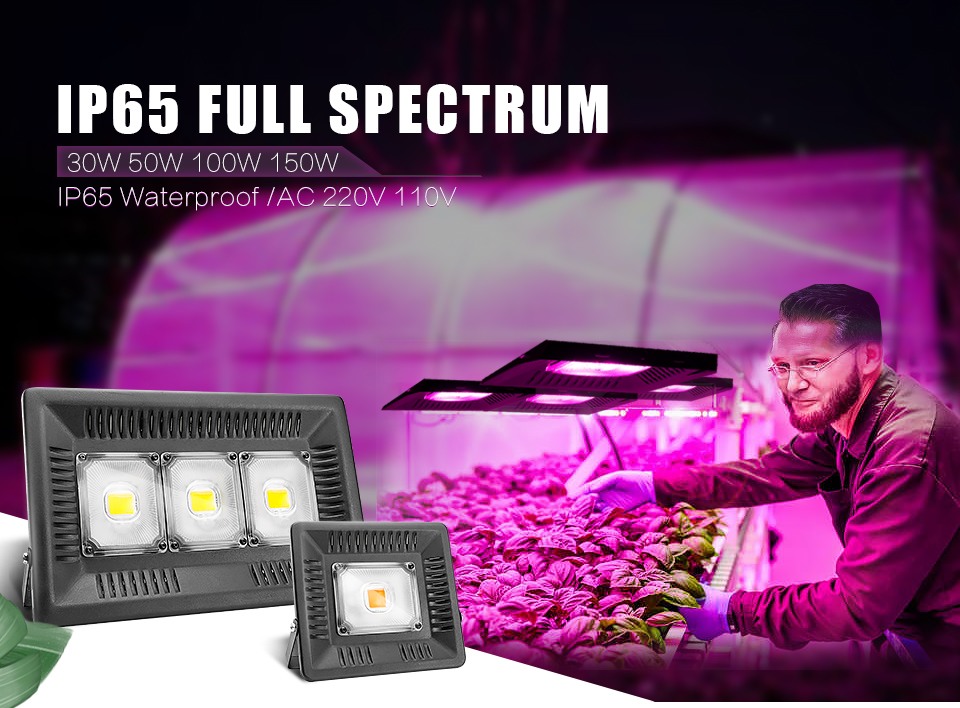 Full Spectrum Lamp LED Growing Light 50W 100W 150W AC 110V 220V High Power Outdoor Waterproof for Greenhouse Hydroponics Seeding