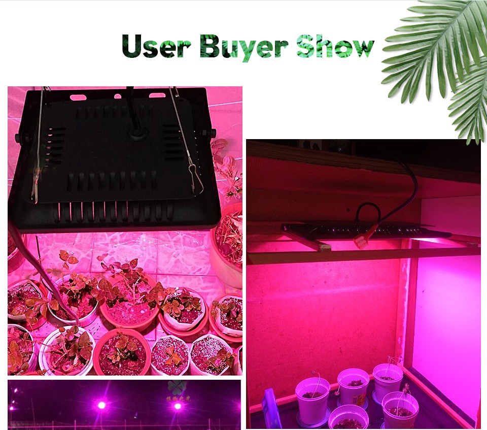 Full Spectrum Lamp LED Growing Light 50W 100W 150W AC 110V 220V High Power Outdoor Waterproof for Greenhouse Hydroponics Seeding