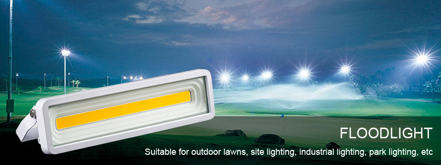 Outdoor Wall Lamp Projector LED Garden LED Flood Light Waterproof IP65 For Garage Landscape housing street Square gallery light