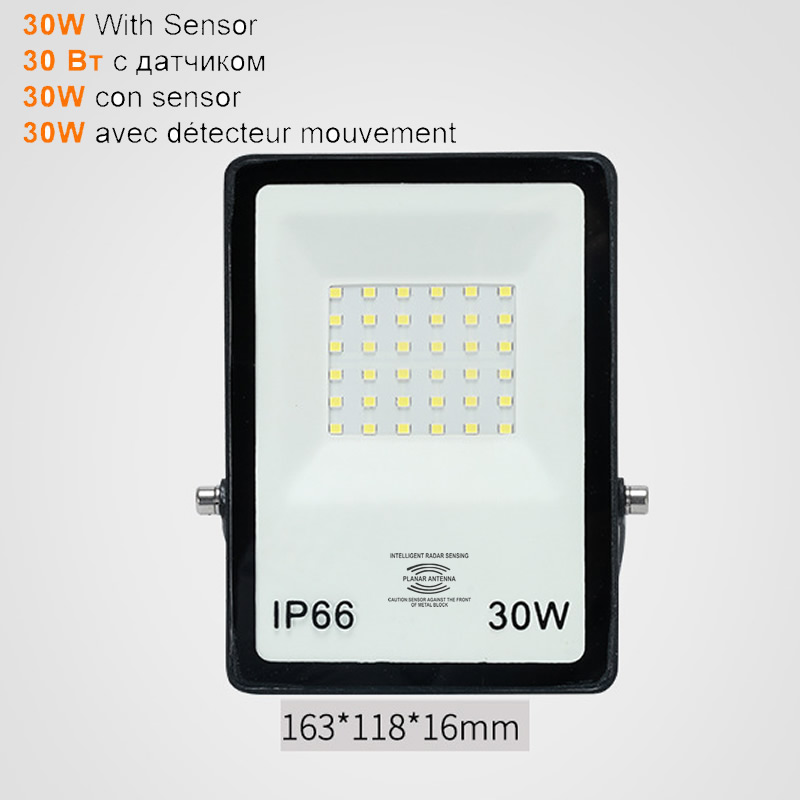 2 pcs 220V 10-100W LED FloodLight Spotlight Exterior Street wall reflector LED Light PIR Motion Sensor IP65 Waterproof Pathway G
