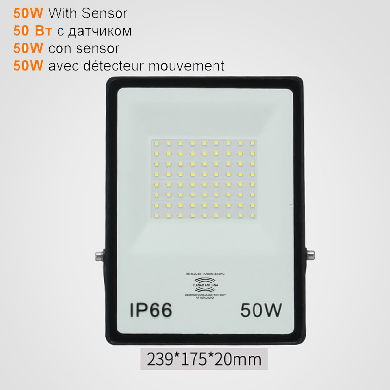 2 pcs 220V 10-100W LED FloodLight Spotlight Exterior Street wall reflector LED Light PIR Motion Sensor IP65 Waterproof Pathway G