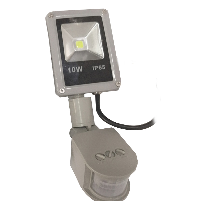 10W Induction Led flood light With Adjustable PIR Sensor 220V floodlight Street Square Outdoor Lighting