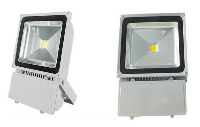 12V 100W LED Spotlight Floodlight Outdoor Floodlights LED Flood Light Lamp Waterproof Gardon Lawn Lamps Warm White Cold White