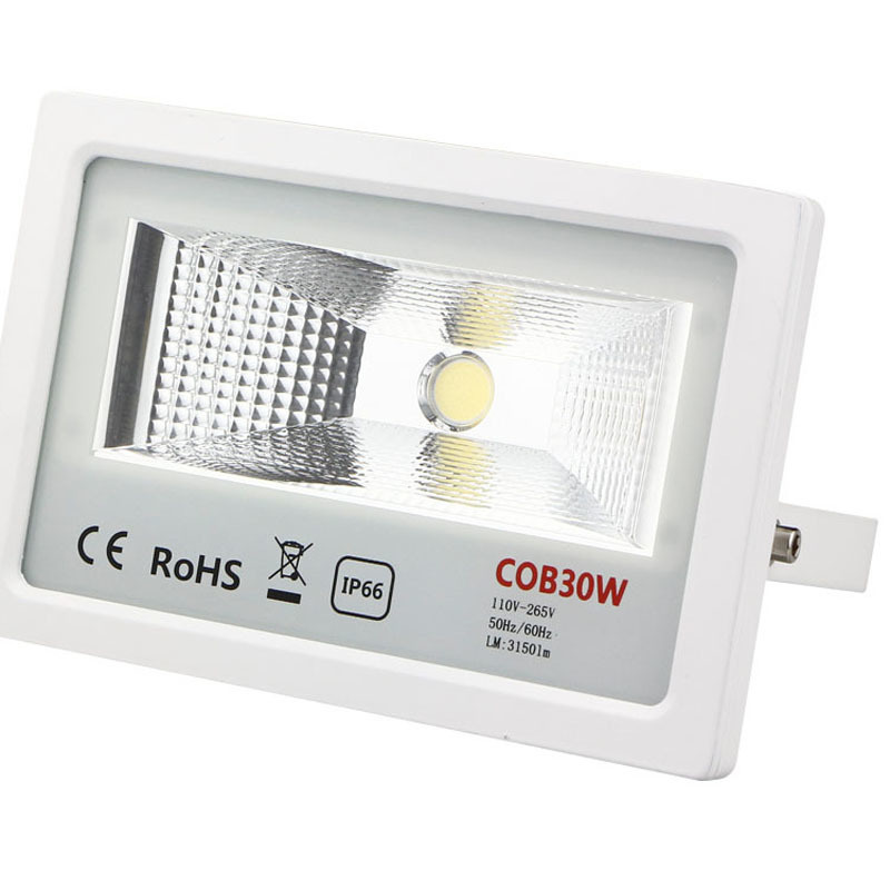 10pcs/lot COB Flood Lamp 30W 50W 100W Warm White Cold White Ac85-265v LED Floodlight Outdoor Lighting Wall Garden Spot Light