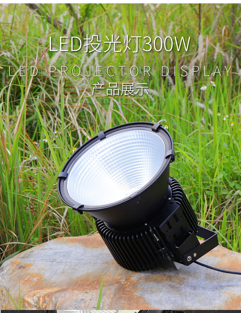 Super Bright Tower 100-400W Building Square Site Construction Lighting Engineering Lamp 220v Led Flood Light Outdoor Floodlight