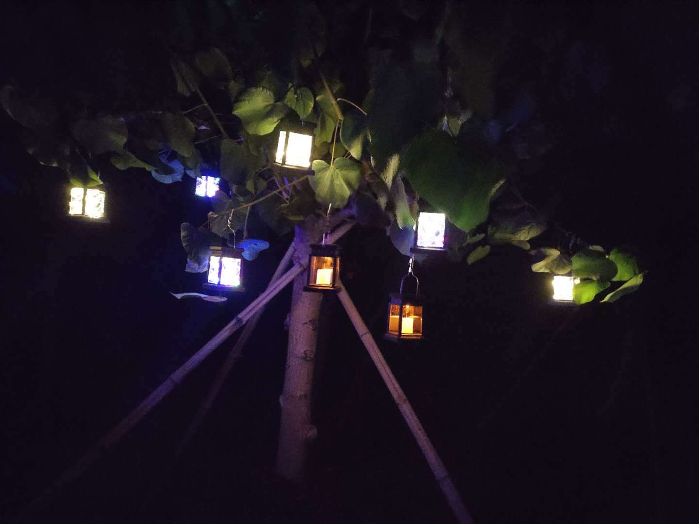 Outdoor Garden Solar Light. Lantern Solar yard Decorations Waterproof Christmas Lights Garlands of Solar Outdoor Led Lights