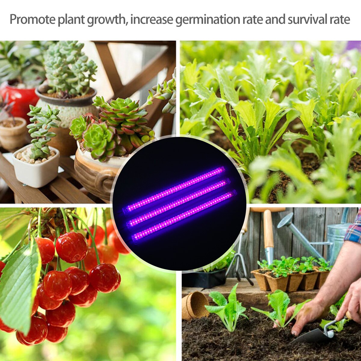 LED Grow Light Full Spectrum Plants Grow Lamp USB Phyto Lamp For Indoor Flowers Plants Growth Lighting