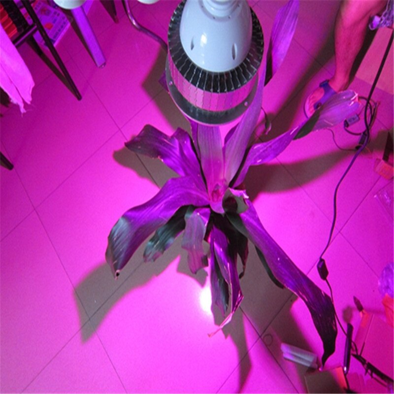 AC220V Led Grow Chip Plant Grow Light Full Spectrum 30W 50W LED Chips Driver Free Lamp Beads Flowers Support