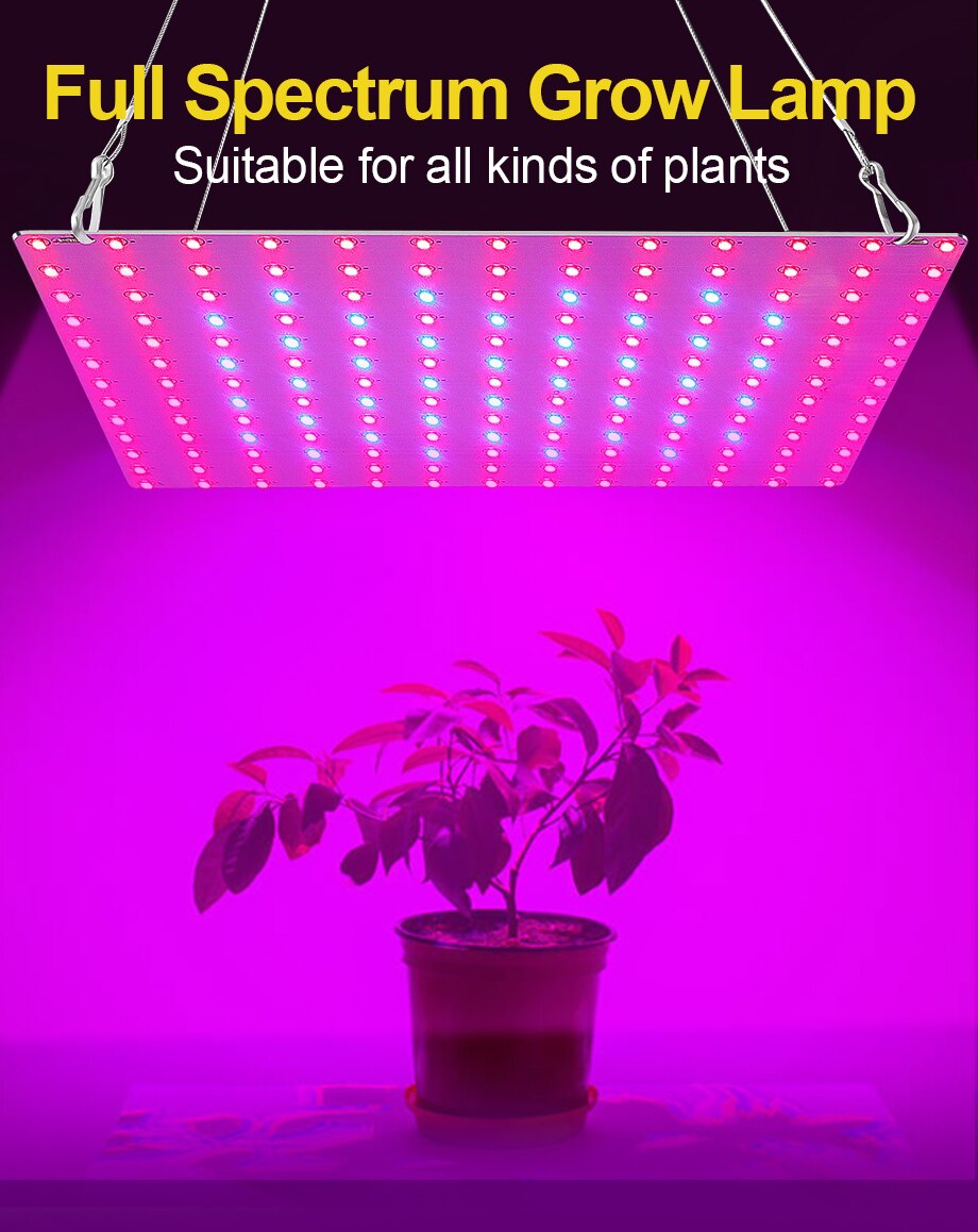 LED Grow Plant Light Phytolamp for Plants 2835 Lamp Beads Quantum Board Growth Lighting Full Spectrum Hydroponics Plant Lamp