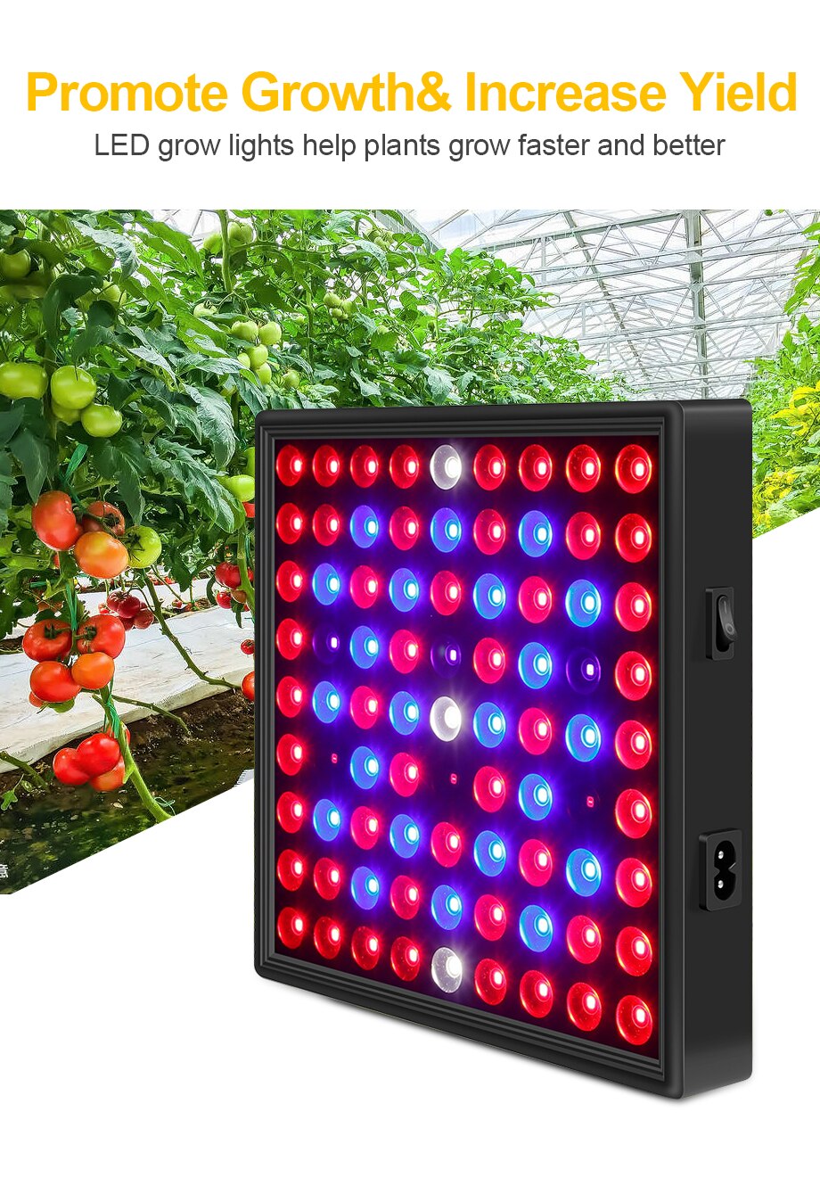 LED Grow Light Full Spectrum 2000W Phytolamp for Indoor Plant 2835 Leds 265V Phyto Growth Lamp Hydroponics Phytolamp for Plants