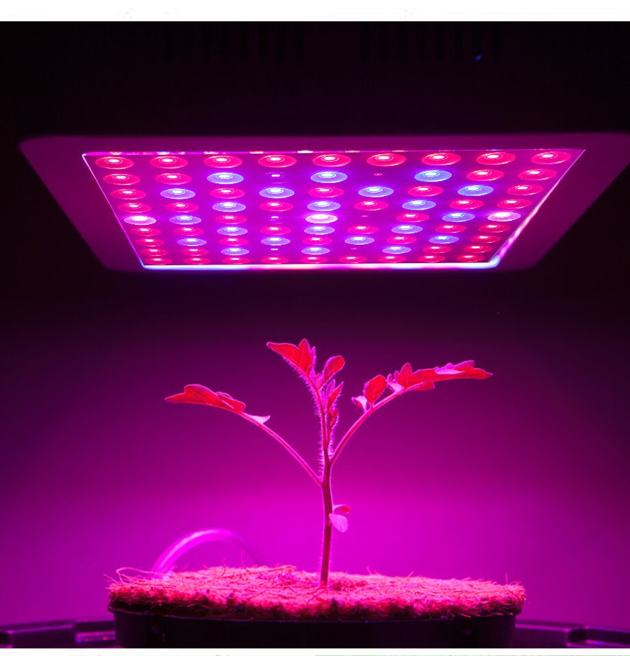 LED Grow Light Full Spectrum 2000W Phytolamp for Indoor Plant 2835 Leds 265V Phyto Growth Lamp Hydroponics Phytolamp for Plants