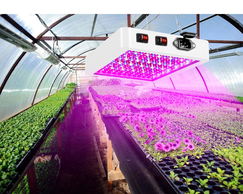 LED Grow Light Full Spectrum Waterproof Phytolamp 3000W 2835 Leds Chip Phyto Growth Lamp Plant Lighting for Indoor Plants